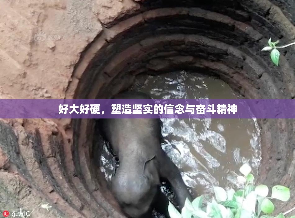好大好硬，塑造坚实的信念与奋斗精神