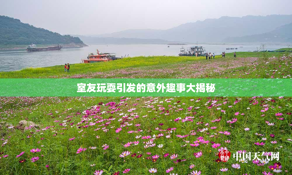 室友玩耍引发的意外趣事大揭秘