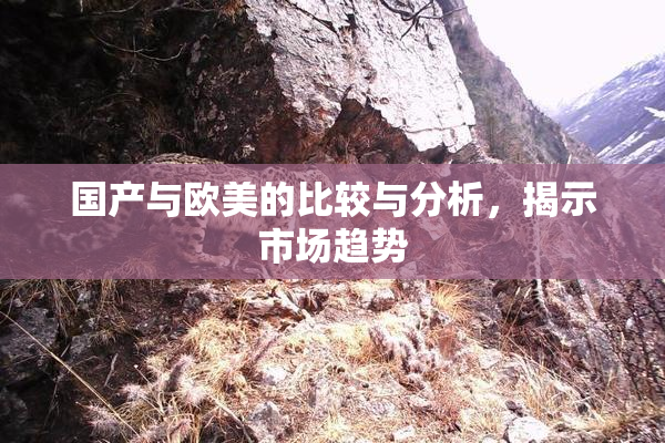 国产与欧美的比较与分析，揭示市场趋势