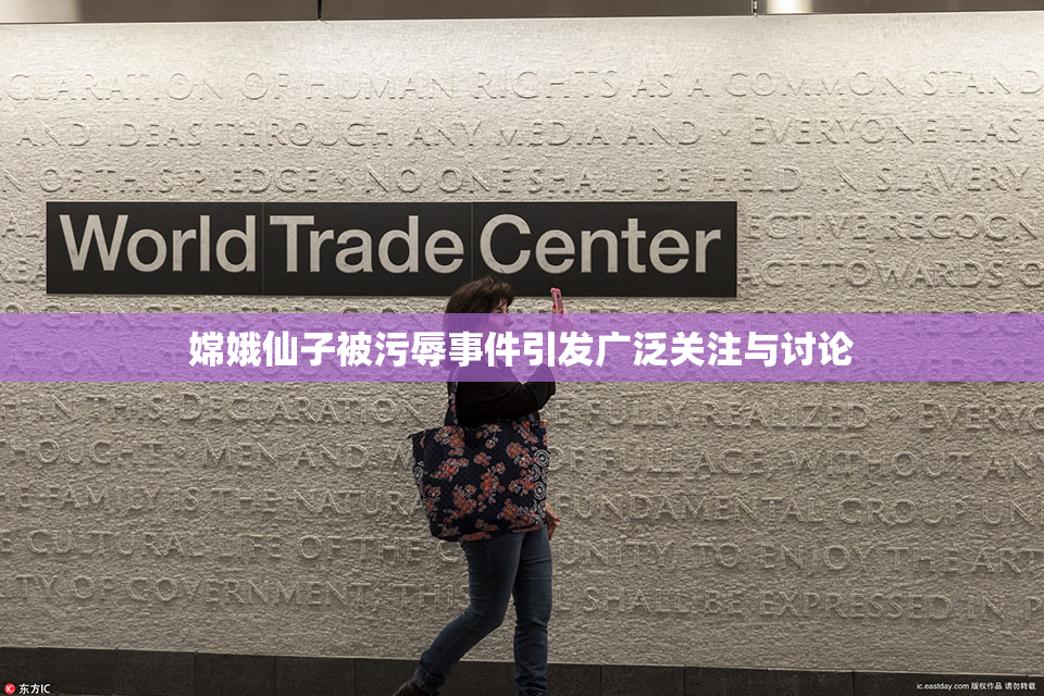 嫦娥仙子被污辱事件引发广泛关注与讨论