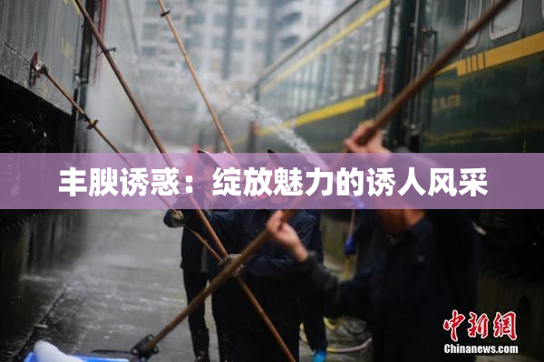 丰腴诱惑：绽放魅力的诱人风采