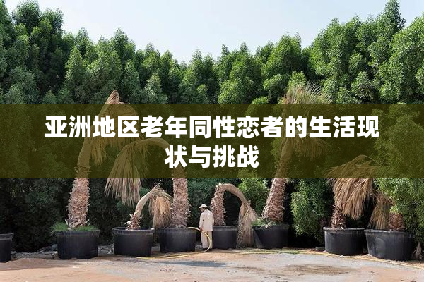 亚洲地区老年同性恋者的生活现状与挑战