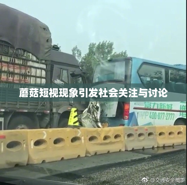 蘑菇短视现象引发社会关注与讨论