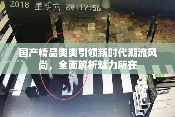 国产精品爽爽引领新时代潮流风尚，全面解析魅力所在