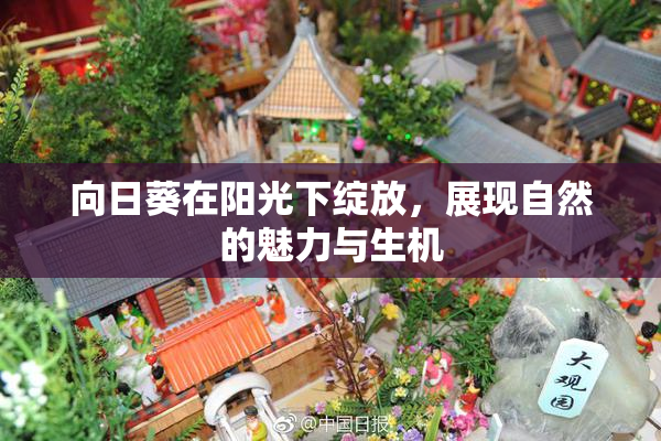 向日葵在阳光下绽放，展现自然的魅力与生机