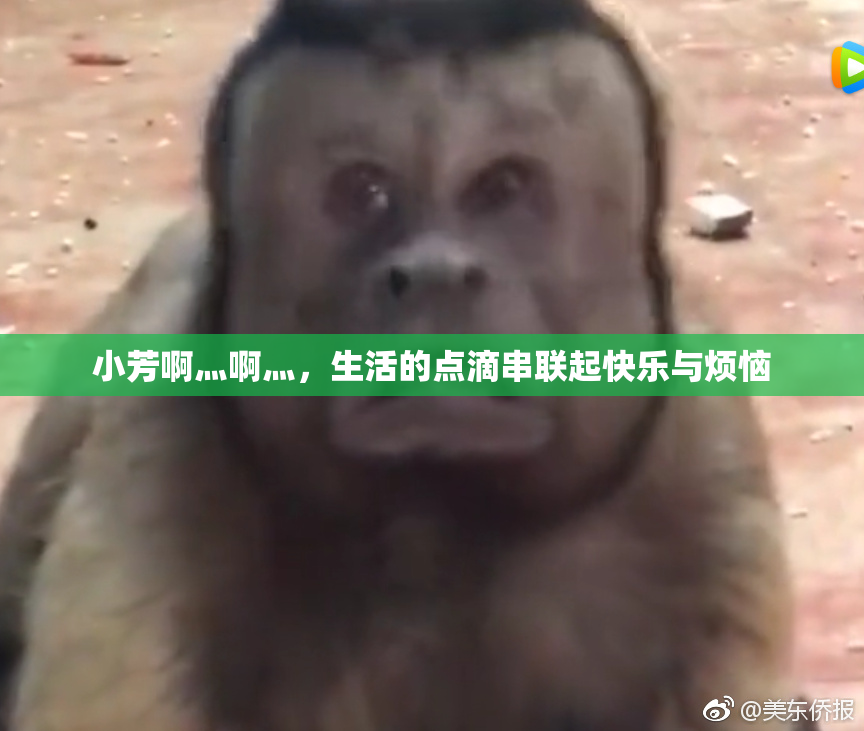 小芳啊灬啊灬，生活的点滴串联起快乐与烦恼