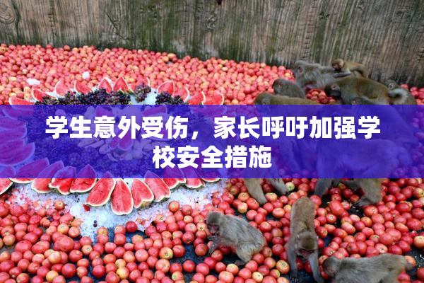 学生意外受伤，家长呼吁加强学校安全措施