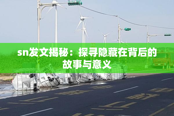 sn发文揭秘：探寻隐藏在背后的故事与意义