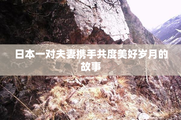 日本一对夫妻携手共度美好岁月的故事