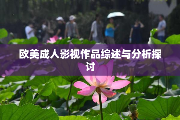 欧美成人影视作品综述与分析探讨