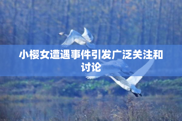 小樱女遭遇事件引发广泛关注和讨论