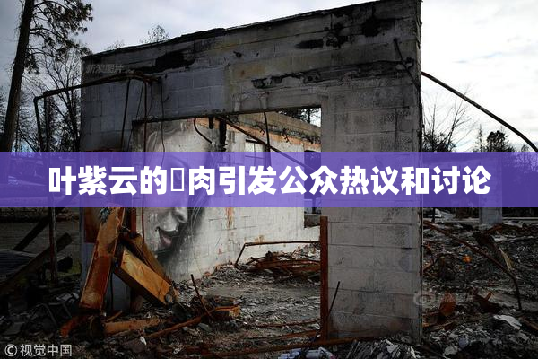 叶紫云的婬肉引发公众热议和讨论