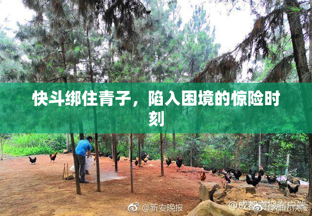 快斗绑住青子，陷入困境的惊险时刻