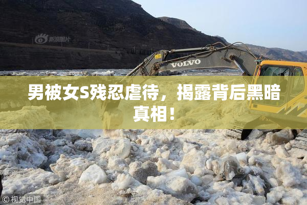 男被女S残忍虐待，揭露背后黑暗真相！