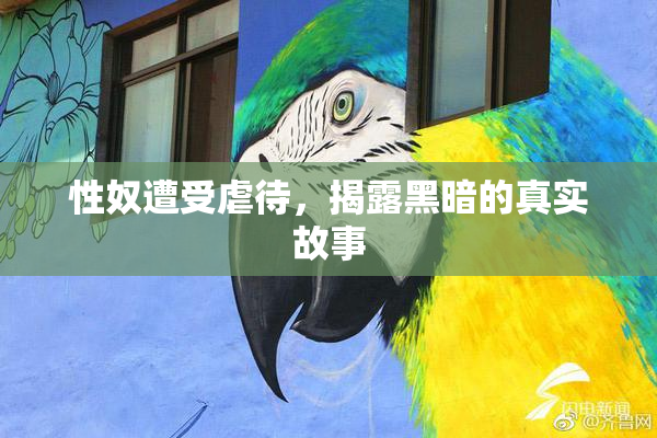 性奴遭受虐待，揭露黑暗的真实故事