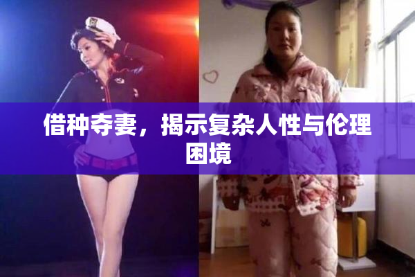 借种夺妻，揭示复杂人性与伦理困境