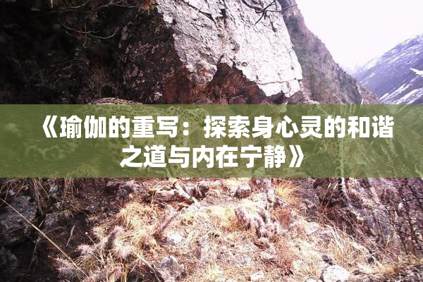 《瑜伽的重写：探索身心灵的和谐之道与内在宁静》