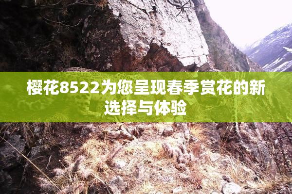 樱花8522为您呈现春季赏花的新选择与体验