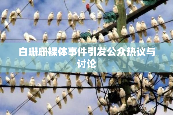 白珊珊裸体事件引发公众热议与讨论
