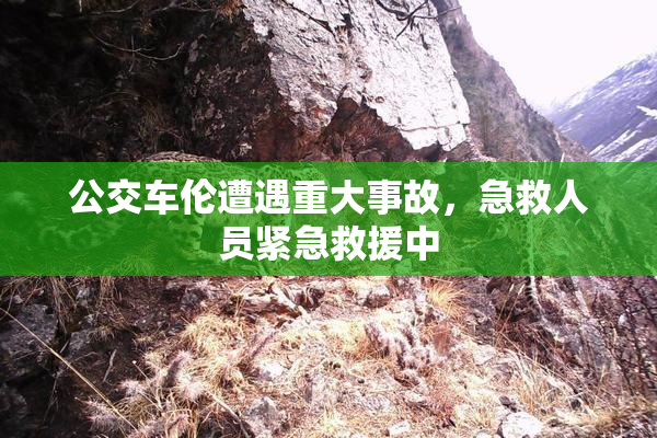 公交车伦遭遇重大事故，急救人员紧急救援中