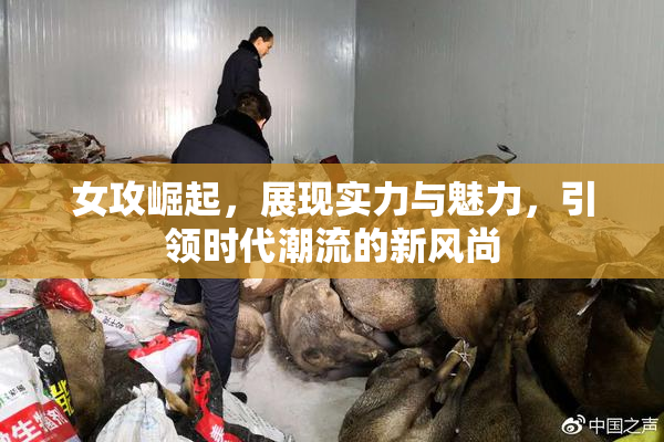 女攻崛起，展现实力与魅力，引领时代潮流的新风尚