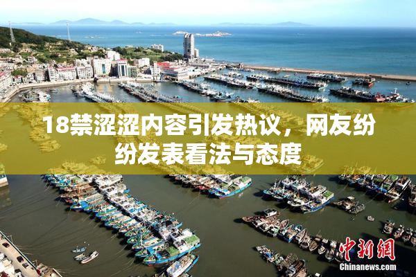 18禁涩涩内容引发热议，网友纷纷发表看法与态度