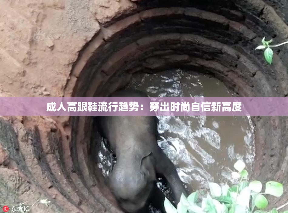 成人高跟鞋流行趋势：穿出时尚自信新高度