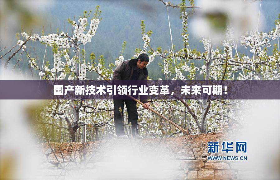 国产新技术引领行业变革，未来可期！