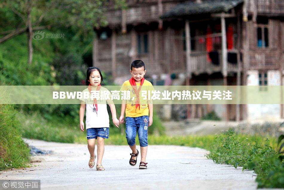 BBWBB再掀高潮，引发业内热议与关注