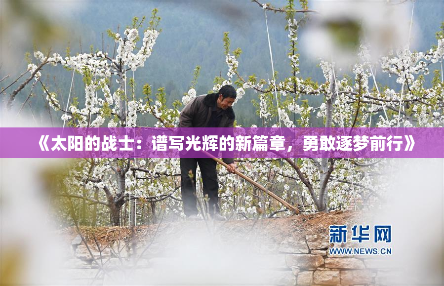 《太阳的战士：谱写光辉的新篇章，勇敢逐梦前行》