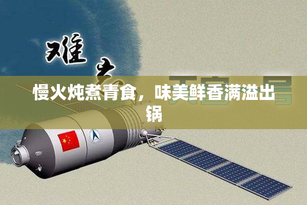慢火炖煮青食，味美鲜香满溢出锅