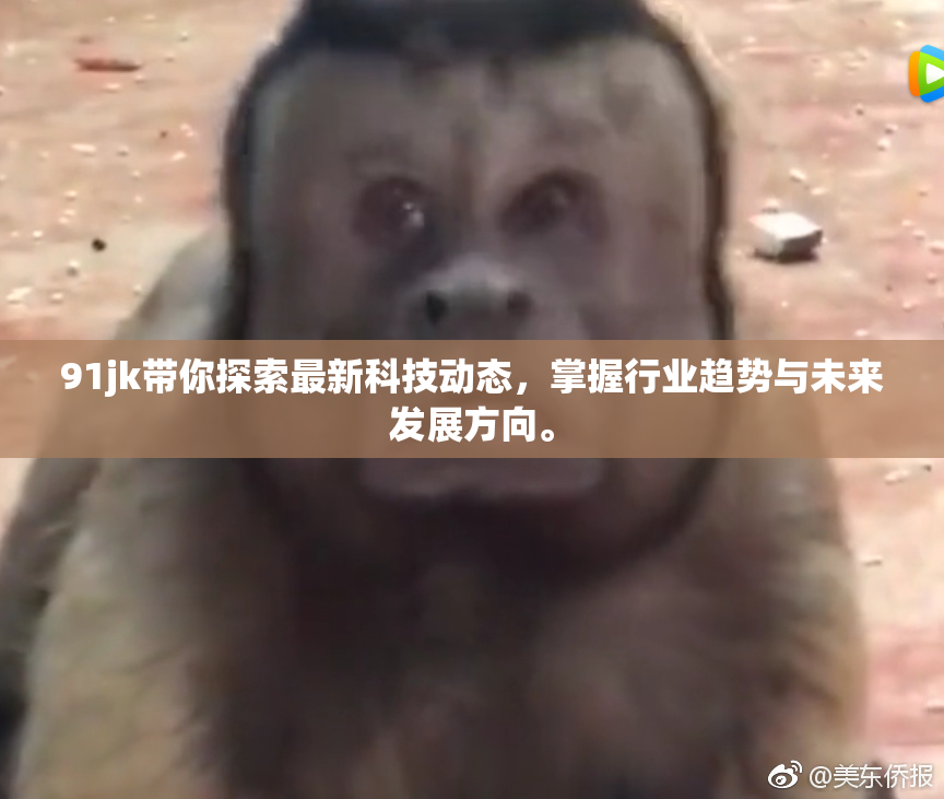 91jk带你探索最新科技动态，掌握行业趋势与未来发展方向。