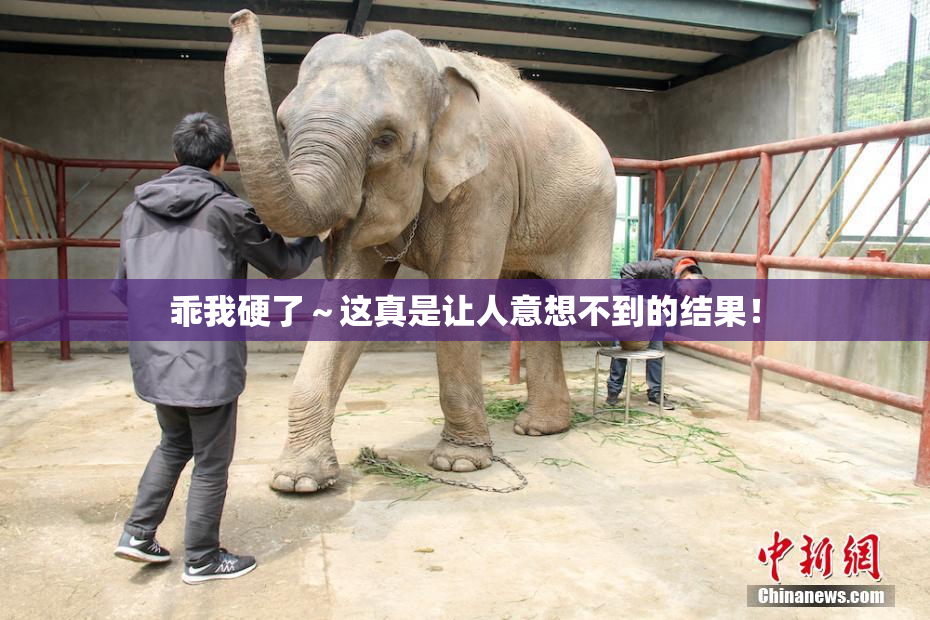 乖我硬了～这真是让人意想不到的结果！
