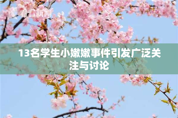 13名学生小嫩嫩事件引发广泛关注与讨论