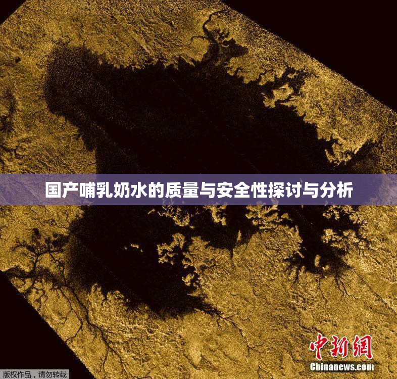 国产哺乳奶水的质量与安全性探讨与分析