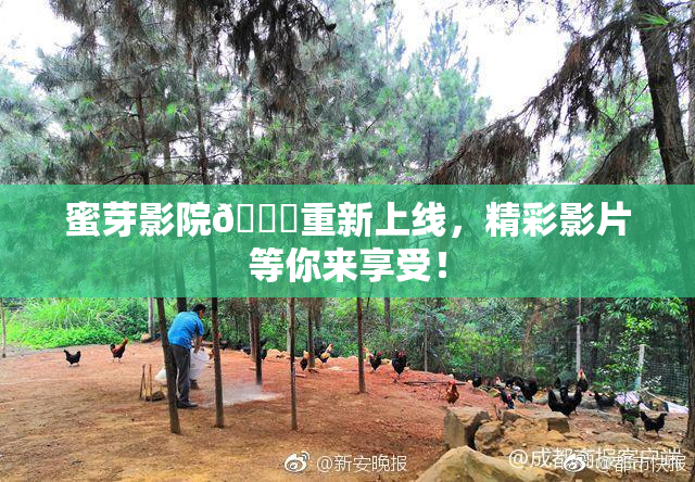 蜜芽影院🔞重新上线，精彩影片等你来享受！