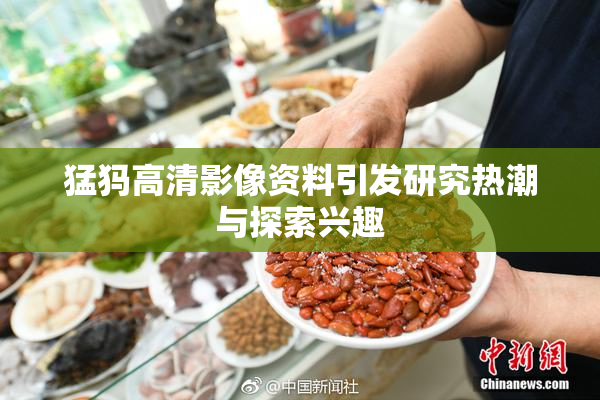 猛犸高清影像资料引发研究热潮与探索兴趣