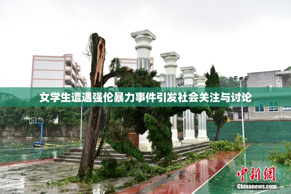女学生遭遇强伦暴力事件引发社会关注与讨论