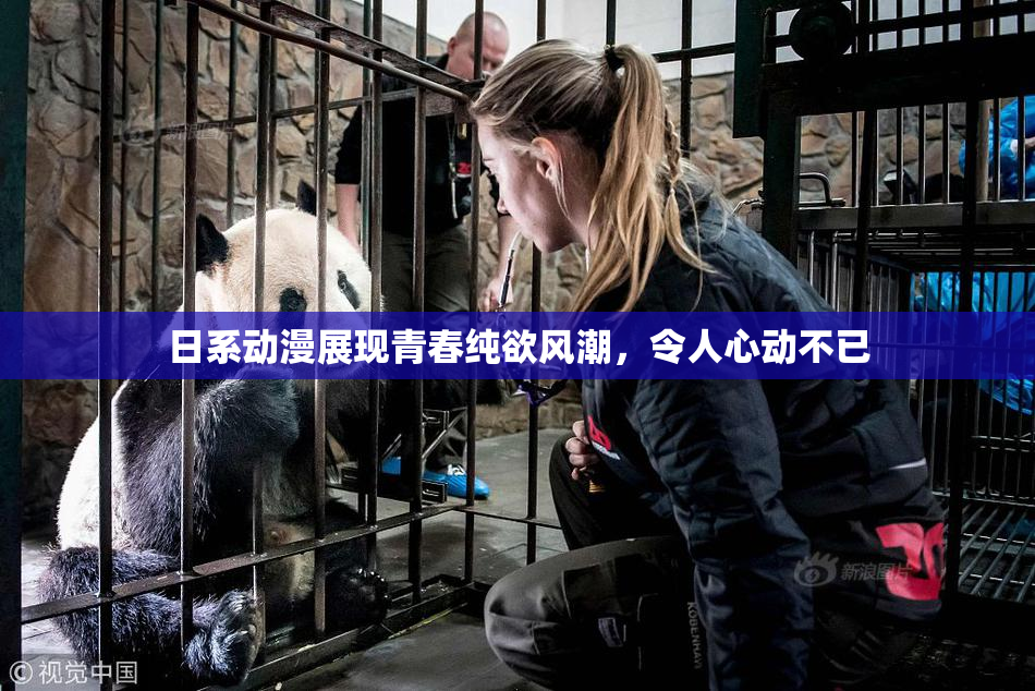 日系动漫展现青春纯欲风潮，令人心动不已