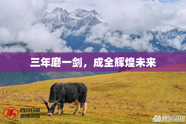 三年磨一剑，成全辉煌未来