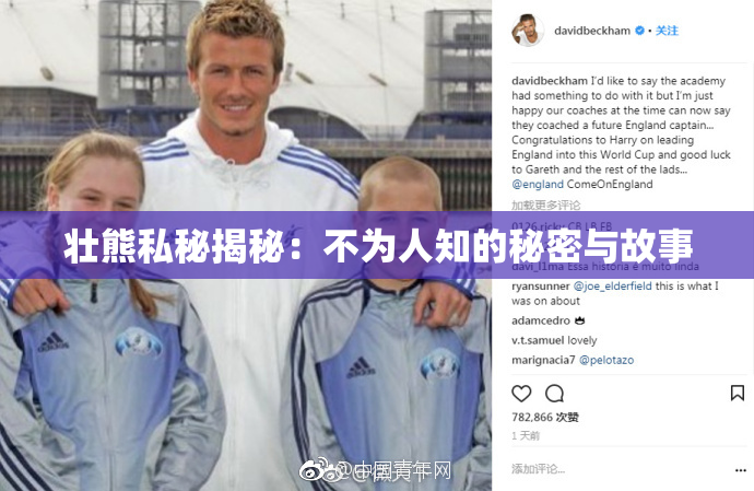 壮熊私秘揭秘：不为人知的秘密与故事