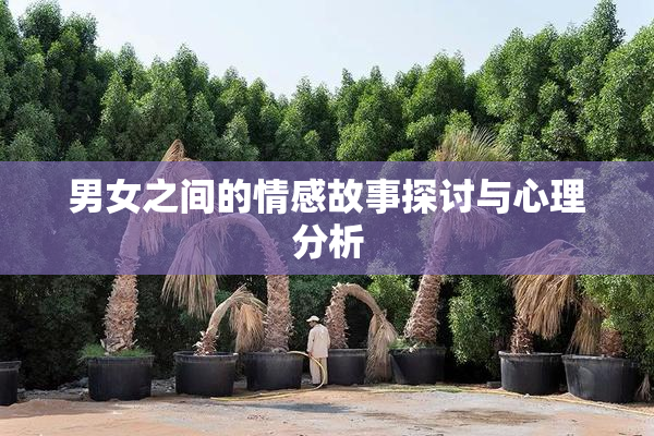男女之间的情感故事探讨与心理分析