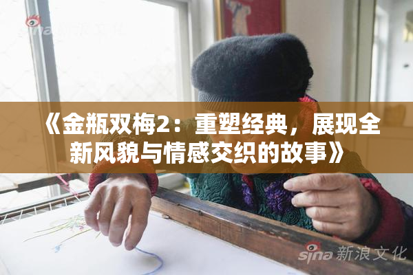 《金瓶双梅2：重塑经典，展现全新风貌与情感交织的故事》