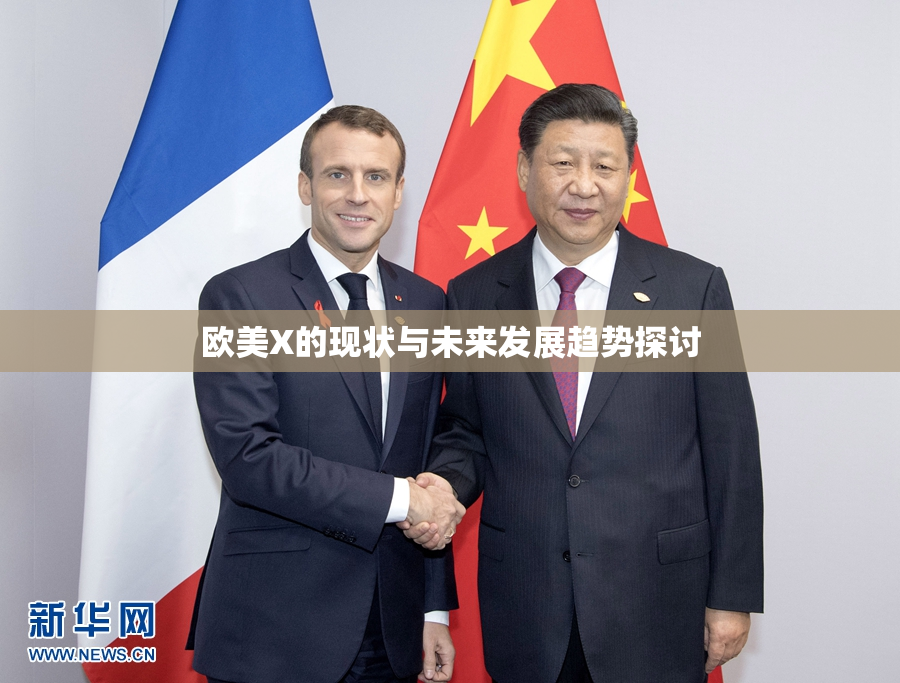 欧美X的现状与未来发展趋势探讨