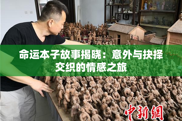 命运本子故事揭晓：意外与抉择交织的情感之旅