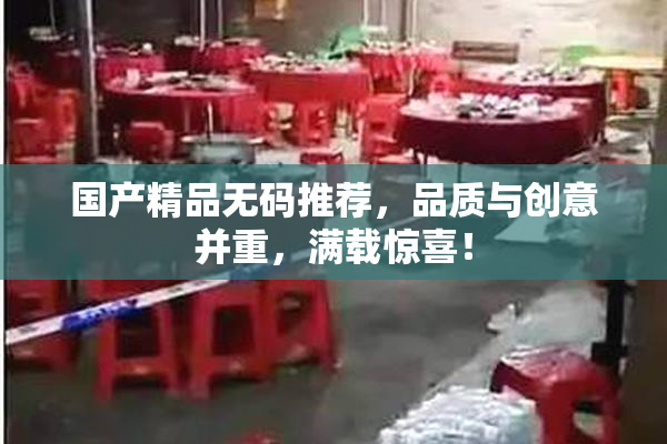 国产精品无码推荐，品质与创意并重，满载惊喜！