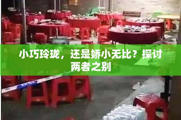 小巧玲珑，还是娇小无比？探讨两者之别