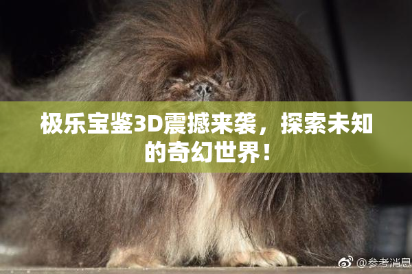 极乐宝鉴3D震撼来袭，探索未知的奇幻世界！
