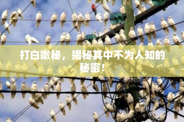 打白嫩秘，揭秘其中不为人知的秘密！