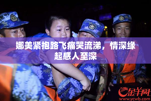 娜美紧抱路飞痛哭流涕，情深缘起感人至深